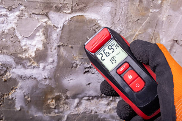 Best Mold Removal Specialists  in Ashland, MO