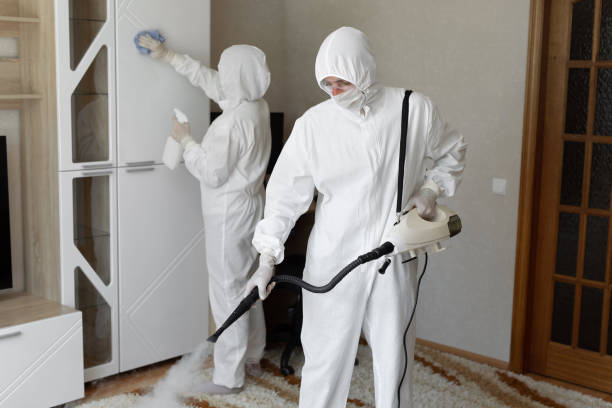 Best Local Mold Removal Service  in Ashland, MO
