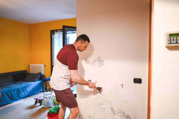 Best Crawl Space Mold Removal  in Ashland, MO